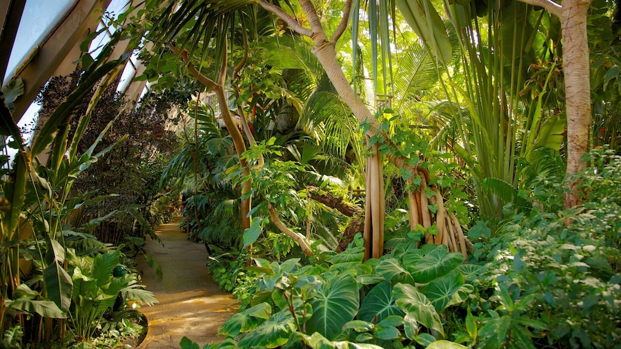 Jardim BotĂąnico de Denver que inclui cenas tropicais e um parque