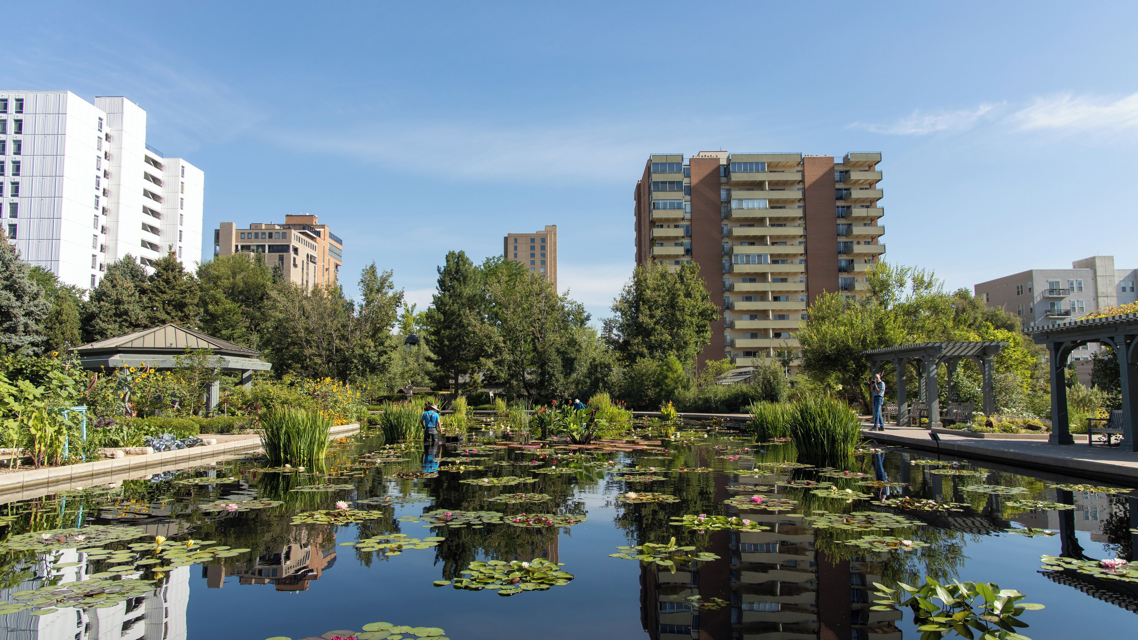 Denver_DenverBotanicGardens_6071523_14