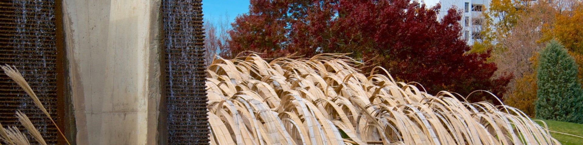 Denver Botanic Gardens showing a fountain, a park and autumn leaves