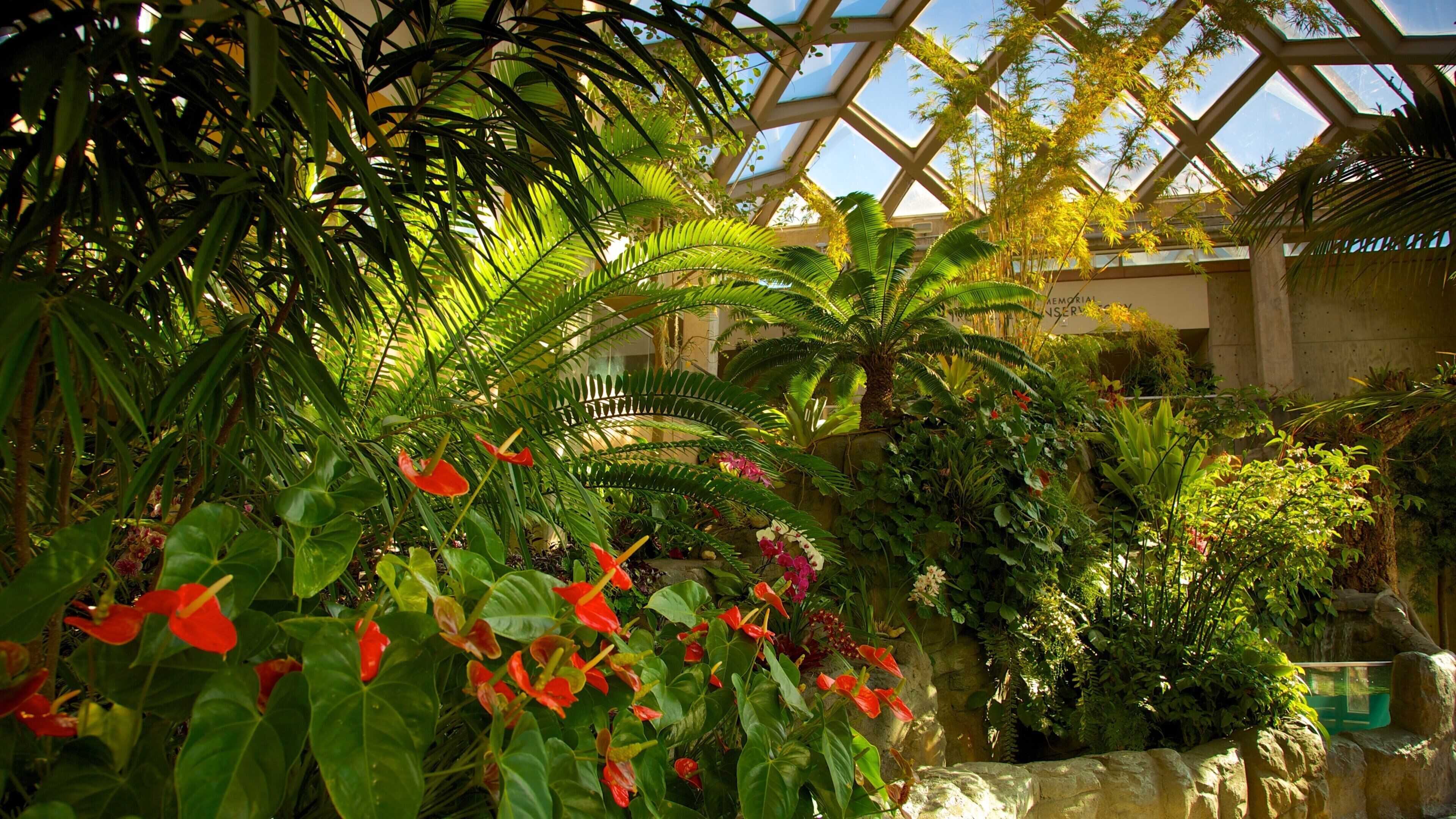 Denver Botanic Gardens montrant fleurs, vues intérieures et parc
