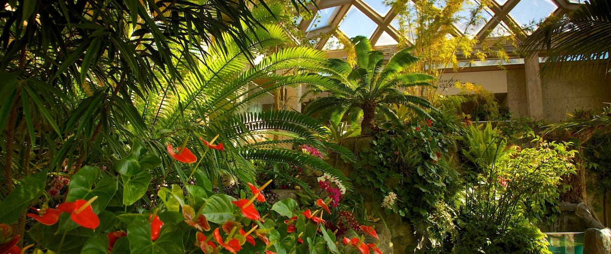 Jardín botánico de Denver ofreciendo vista interna, un parque y flores