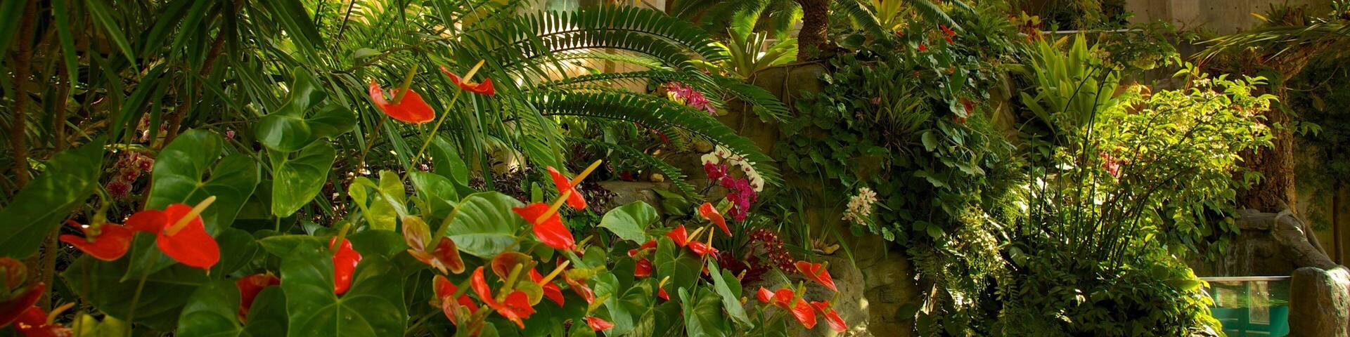 Denver Botanic Gardens featuring a park, interior views and flowers