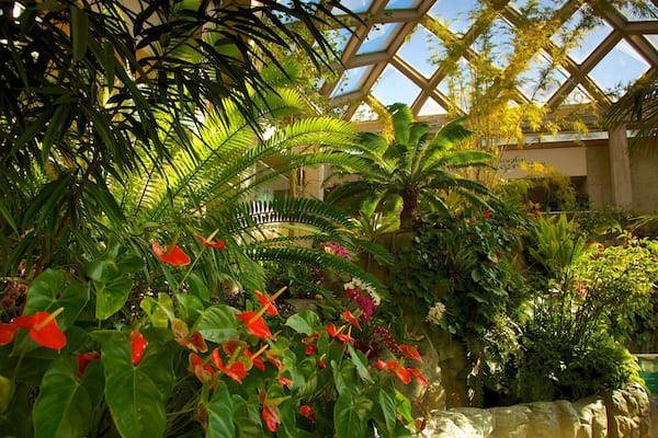 Denver Botanic Gardens featuring flowers, interior views and a garden