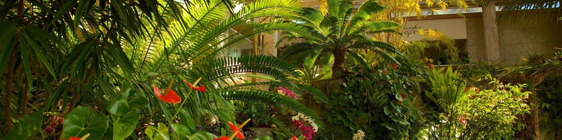 Denver Botanic Gardens featuring a park, interior views and flowers