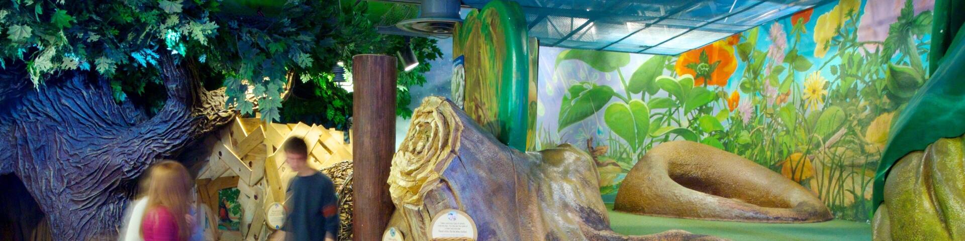 Museo Infantil de Denver mostrando vistas interiores y también una familia