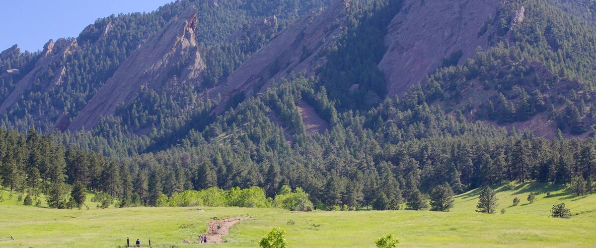 Chautauqua Park showing mountains