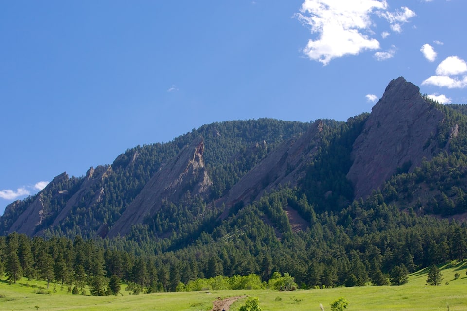 Une montagne dont le versant est couvert de forêt, sous un ciel dégagé.