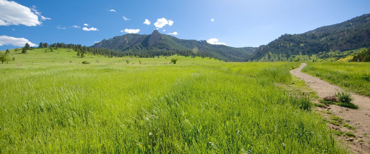 Chautauqua Park showing tranquil scenes