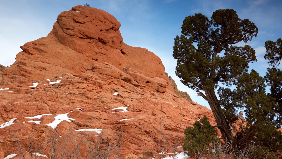 Garden of the Gods featuring a gorge or canyon
