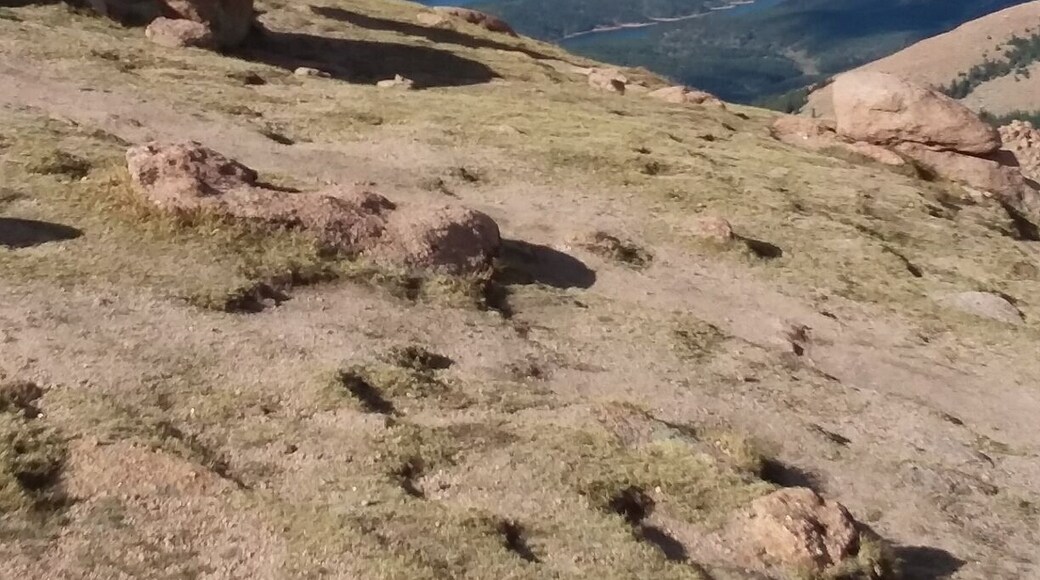 About 16 miles up Pike's Peak Highway