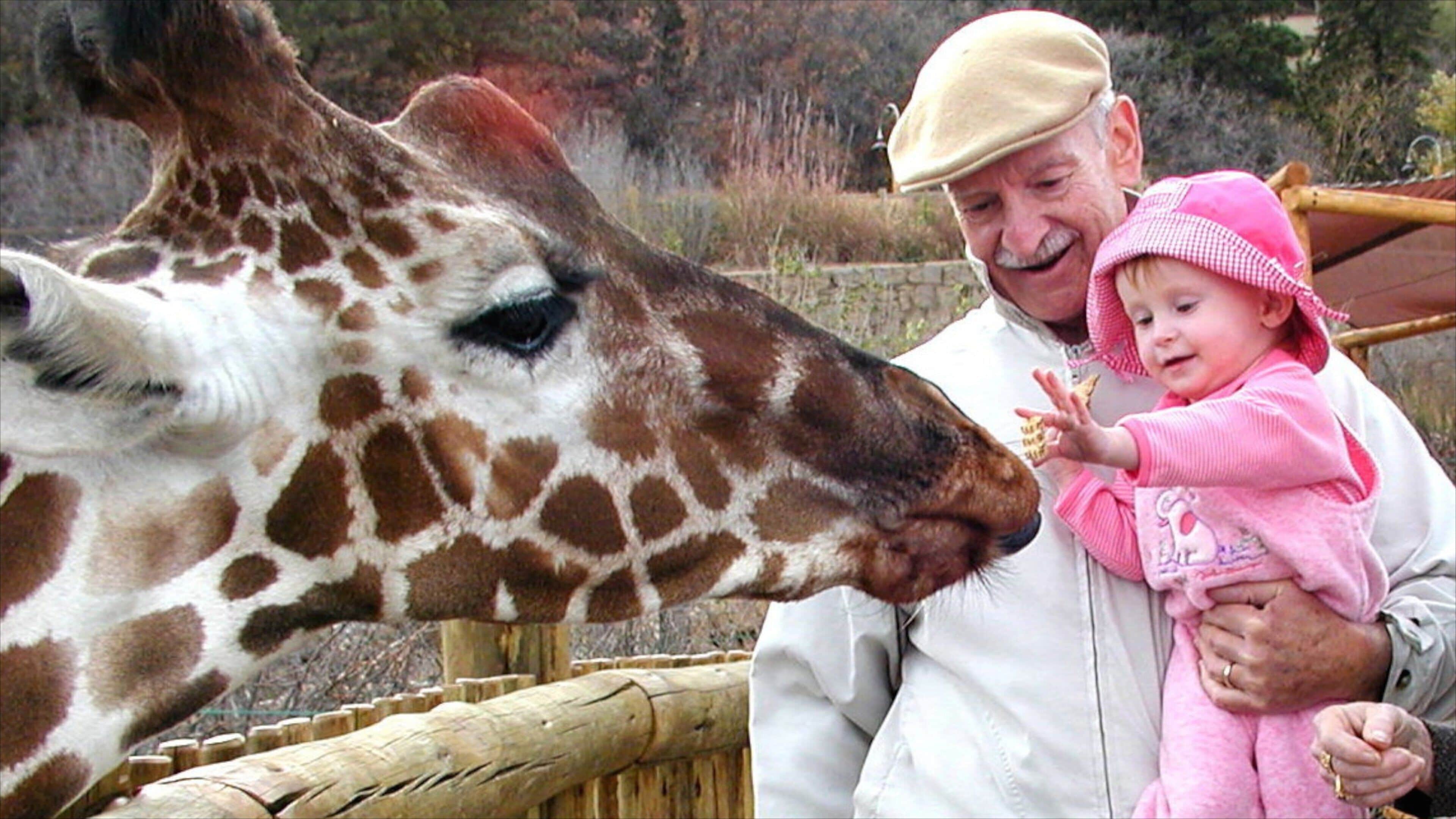 Cheyenne Mountain Zoo mostrando animales terrestres y animales del zoológico y también una familia