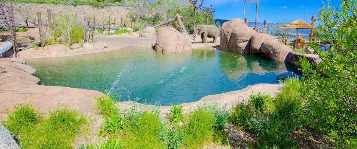 Cheyenne Mountain Zoo das einen Zootiere