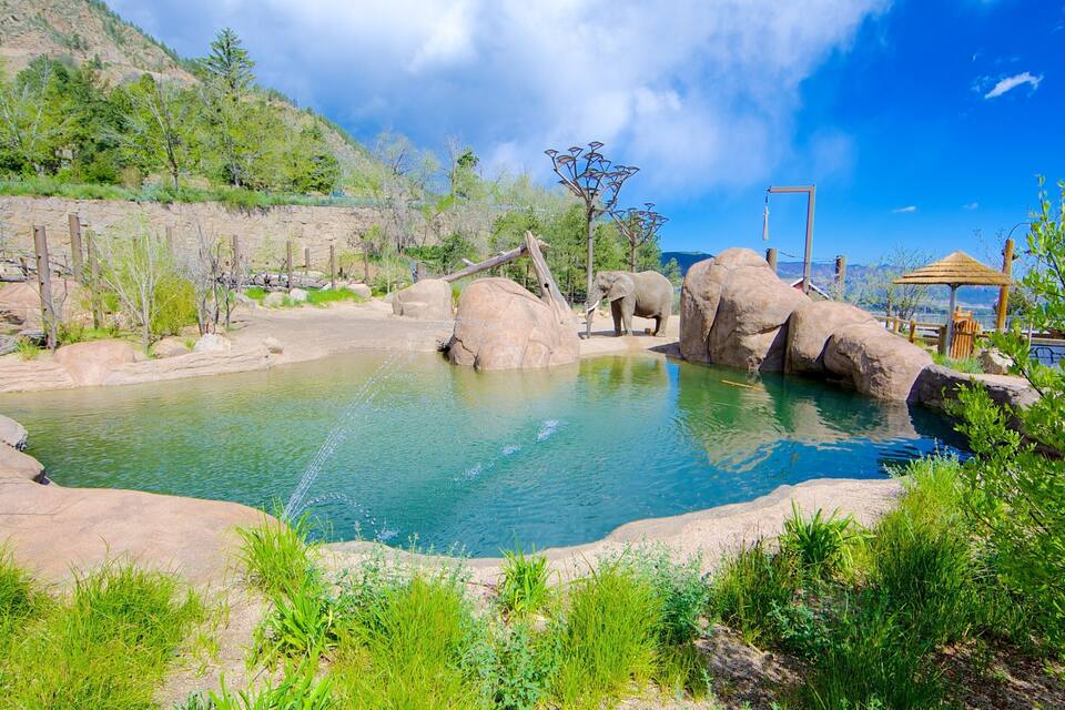 Ein klares Schwimmbecken mit Steinen und einer Holzbrücke, umgeben von Grünpflanzen und einer Bergkulisse.