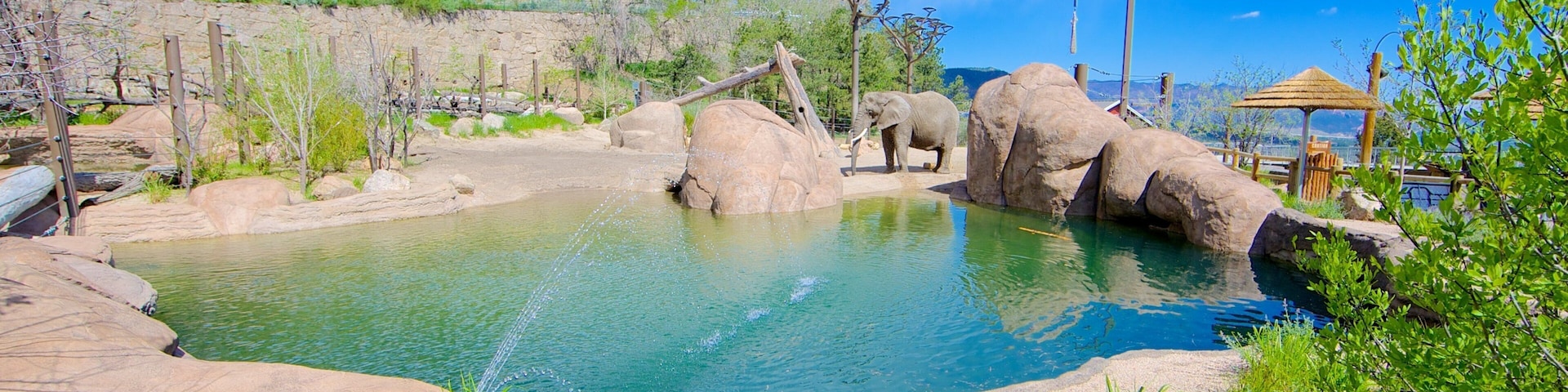 Cheyenne Mountain Zoo showing zoo animals