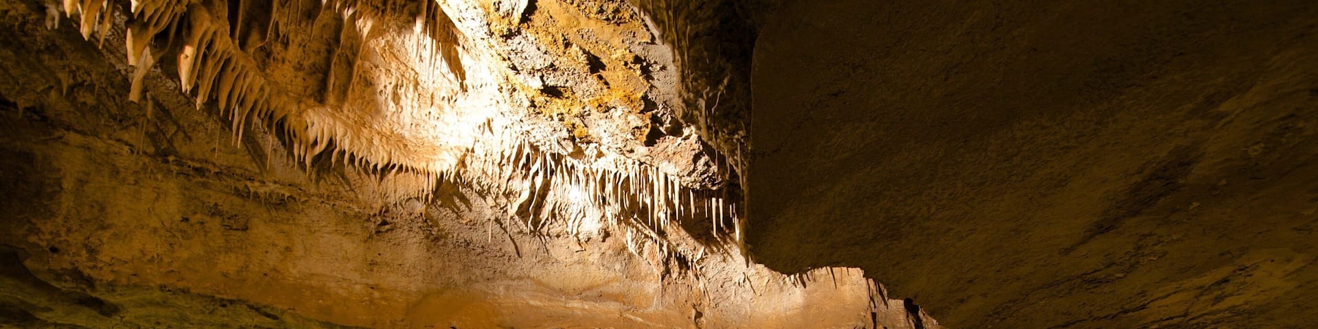 Cave of the Winds showing interior views and caves