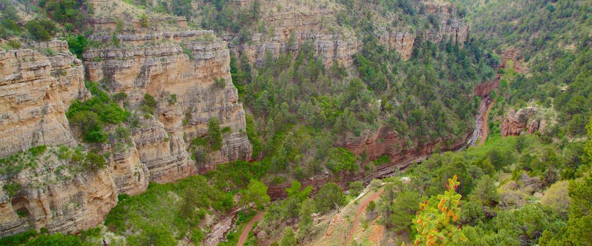 Cave of the Winds featuring a gorge or canyon