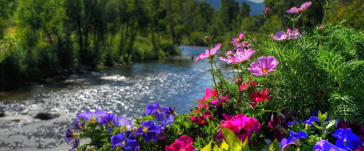 Steamboat Springs Hotel Guide