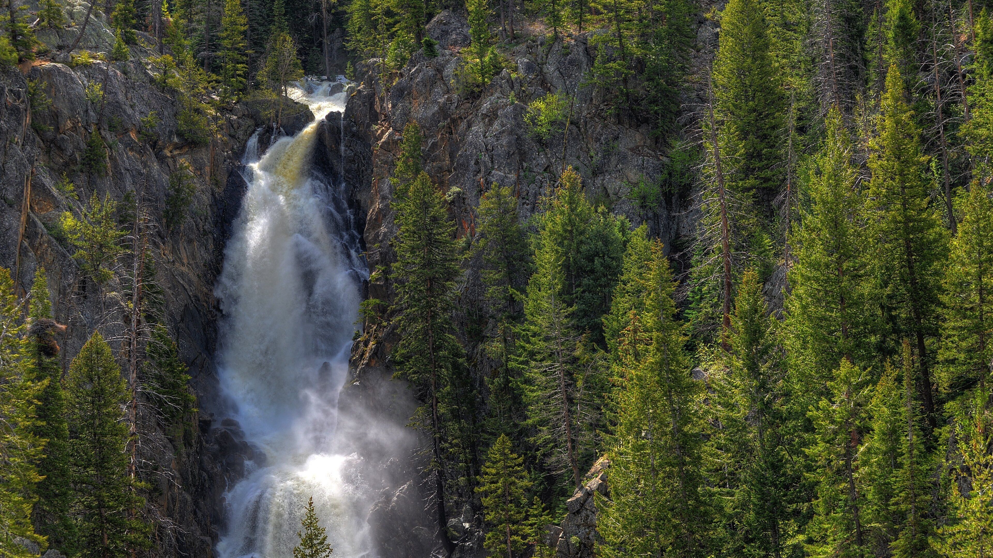 Steamboat Ski Resort showing forest scenes and a cascade