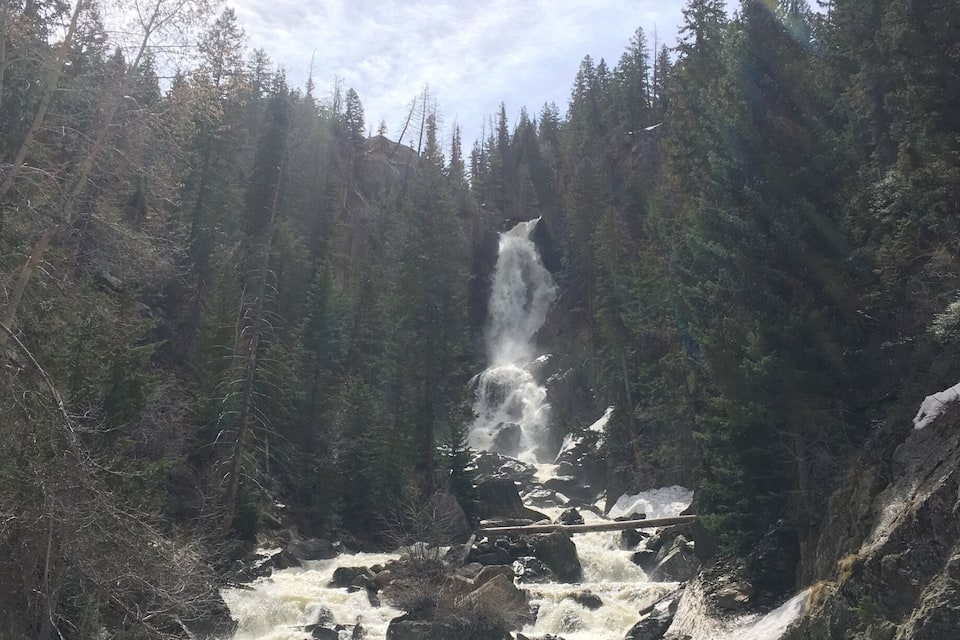 A waterfall cascading down a rocky river surrounded by dense forest.