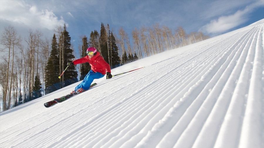 Buttermilk Mountain Ski Area which includes snow skiing and snow as well as an individual femail