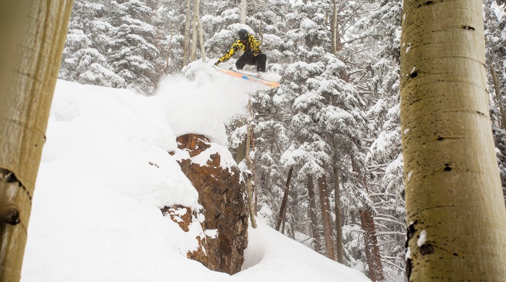 バターミルク マウンテン スキー場 どの含み 雪 と スノー ボーディング 及び 男性 (個人)