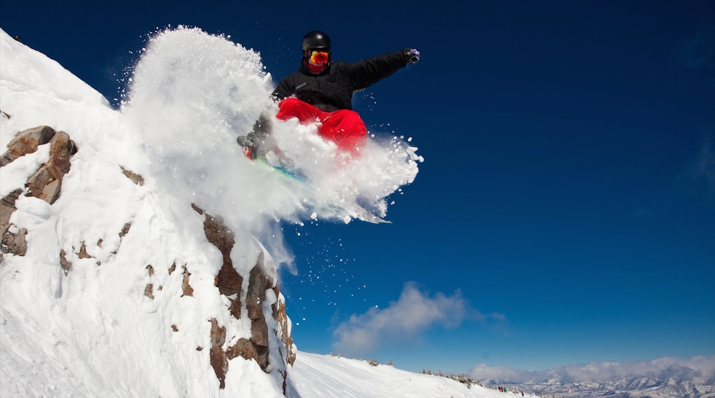 Aspen Highlands which includes snow skiing and snow as well as an individual male