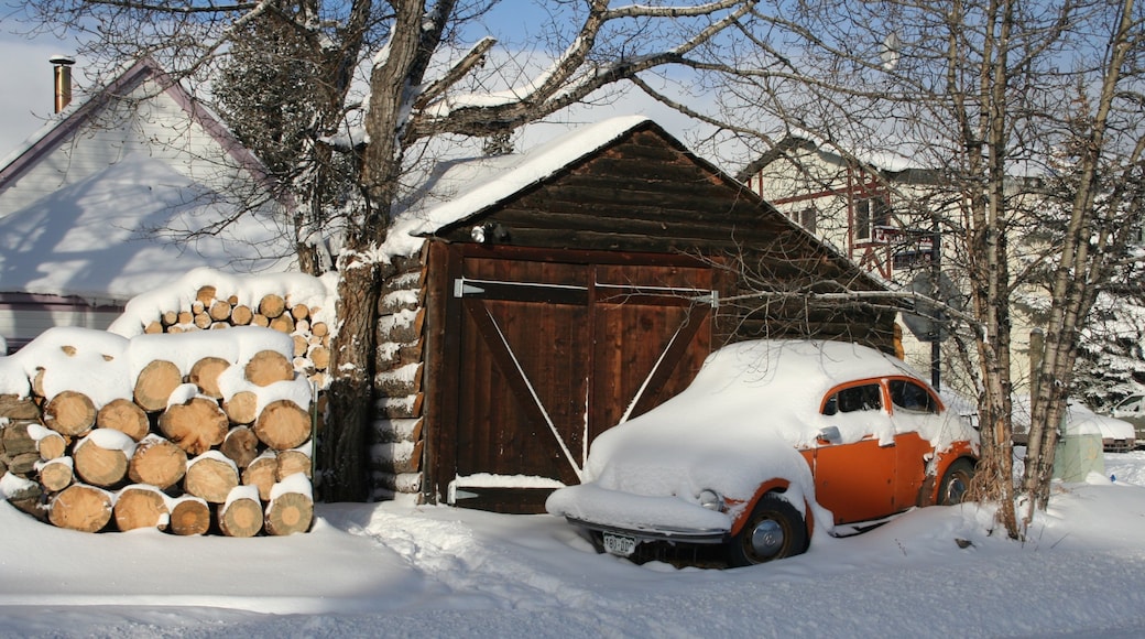 Breckenridge Ski Resort featuring a house and snow