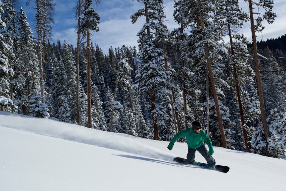 Un snowboardeur sur une pente enneigée, avec des arbres couverts de neige en arrière-plan.