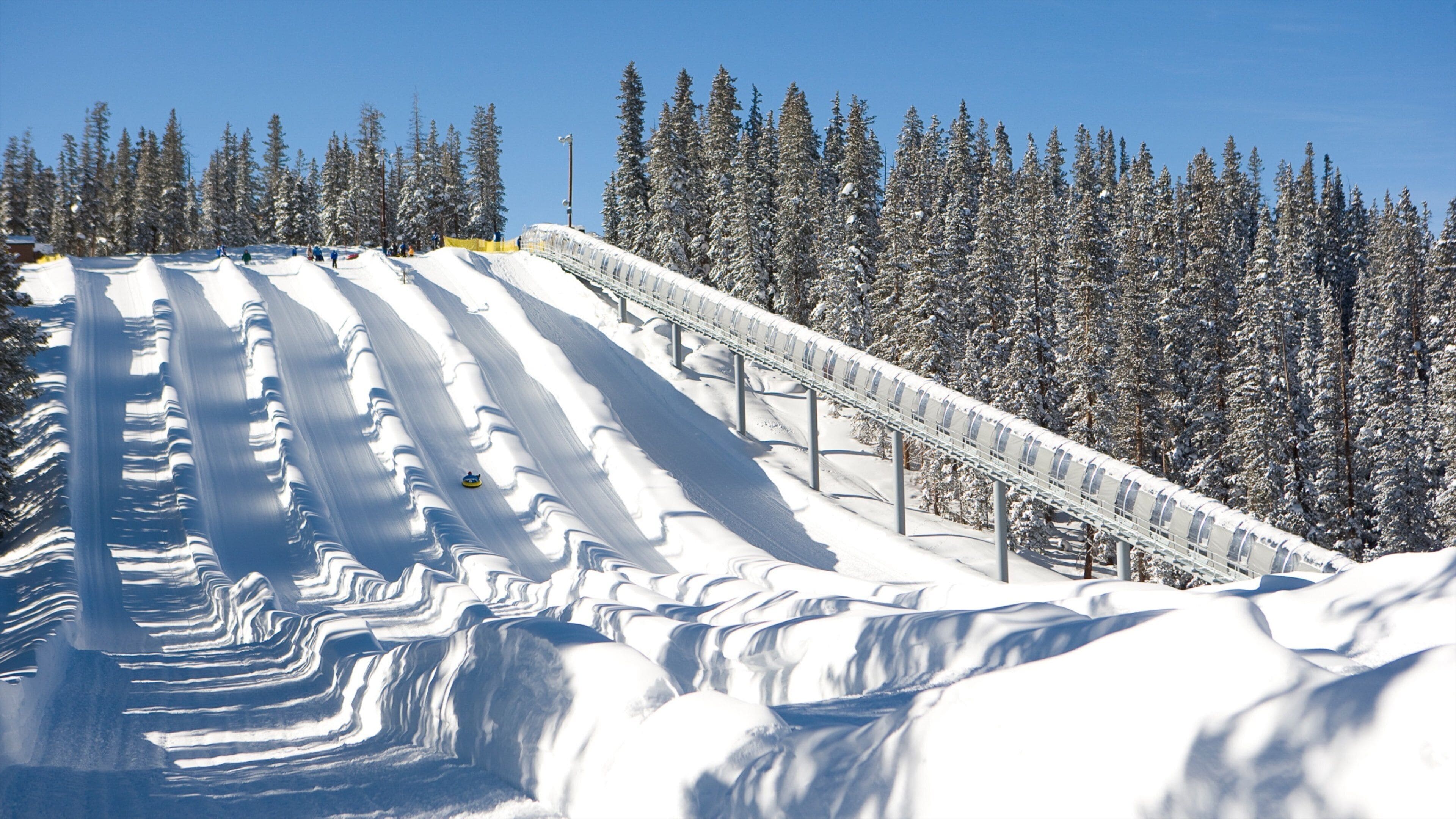 A snowy ski slope with a chairlift and snow-covered trees.