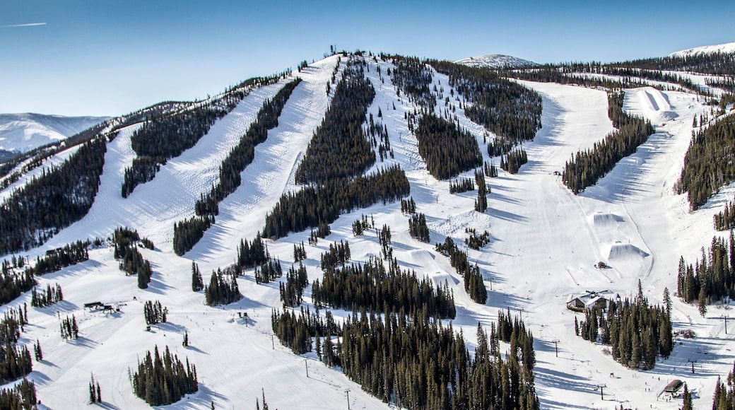 Winter Park Ski Resort que incluye montañas, paisajes forestales y nieve