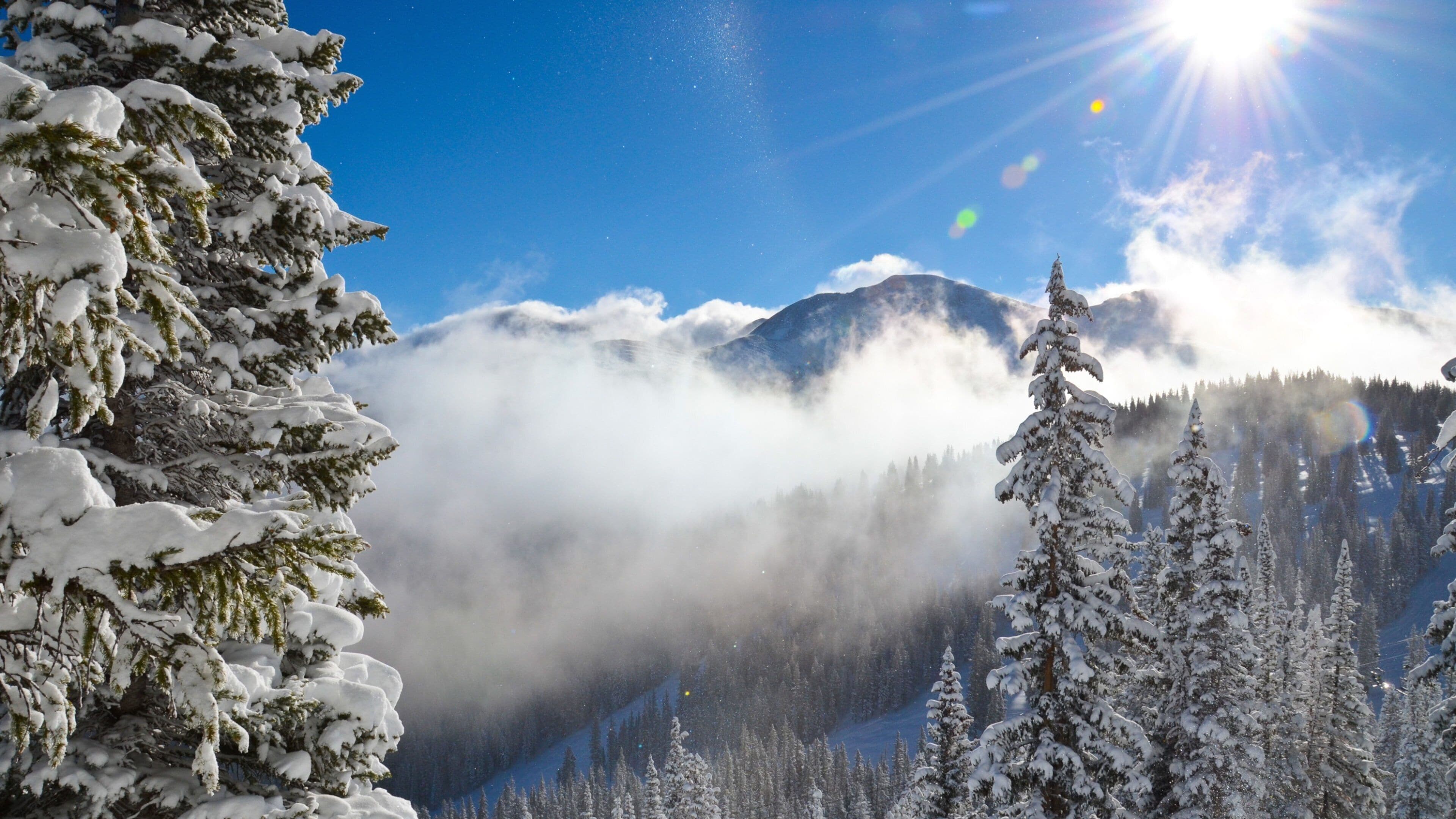 Winter Park Ski Resort which includes snow, forest scenes and tranquil scenes