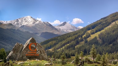 Copper Mountain Ski Resort featuring tranquil scenes, landscape views and forest scenes