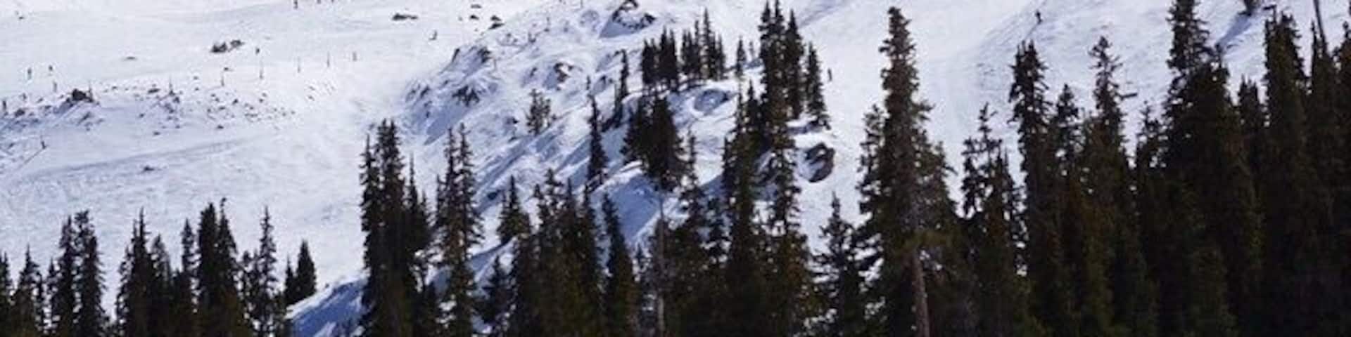 A snow-covered mountain with rocky peaks and a forest at its base.