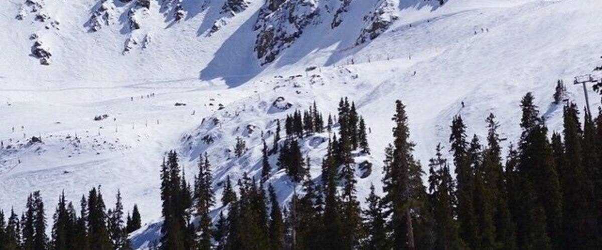 A snow-covered mountain with rocky peaks and a forest at its base.