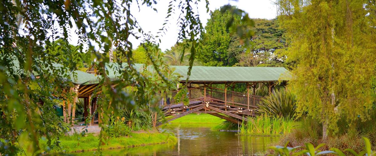 Bogota Botanical Garden which includes a pond, a park and a bridge