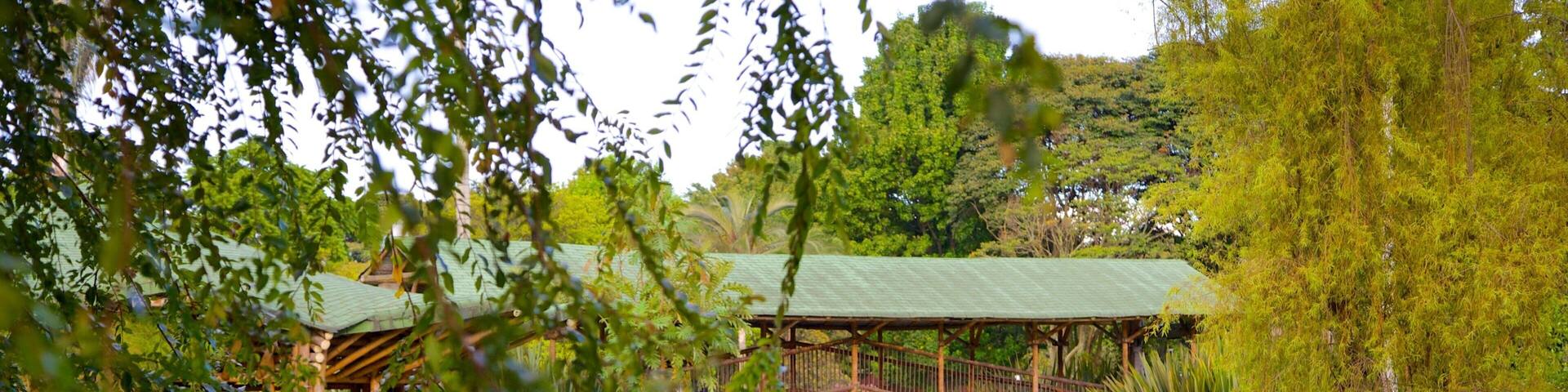 Jardin botanique de BogotĂĄ mettant en vedette pont, parc et mare