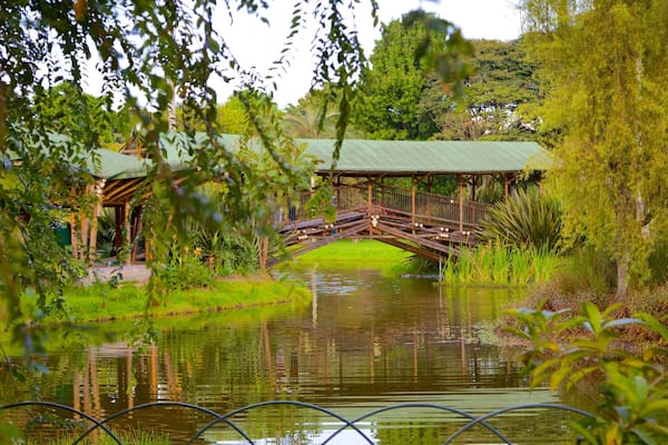 Bogota Botanical Garden which includes a pond, a park and a bridge