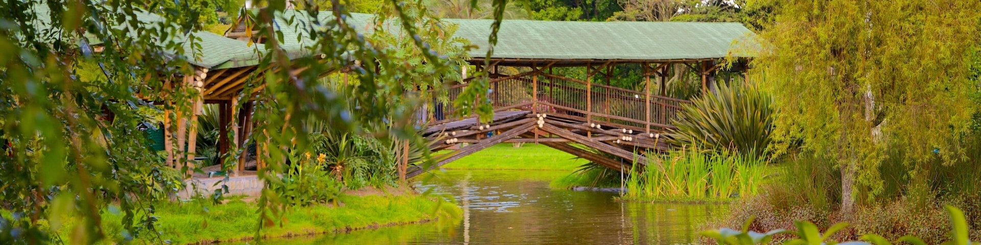 Jardín Botánico de Bogotá mostrando un estanque, un parque y un puente