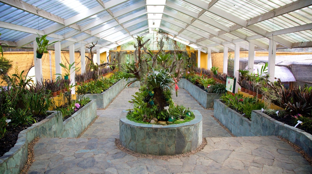Bogota Botanical Garden which includes interior views and a garden