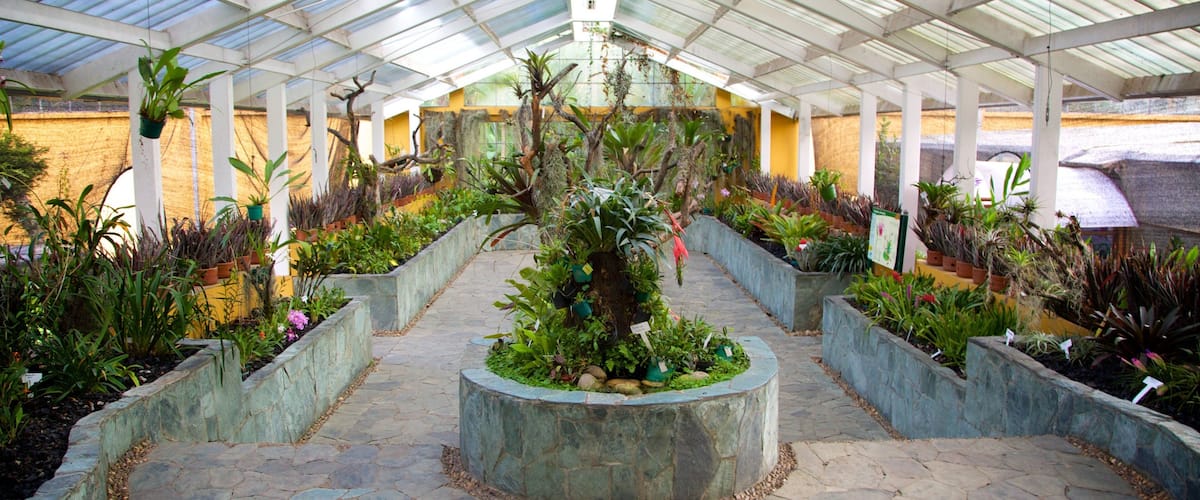 Jardín Botánico de Bogotá ofreciendo vistas interiores y un parque