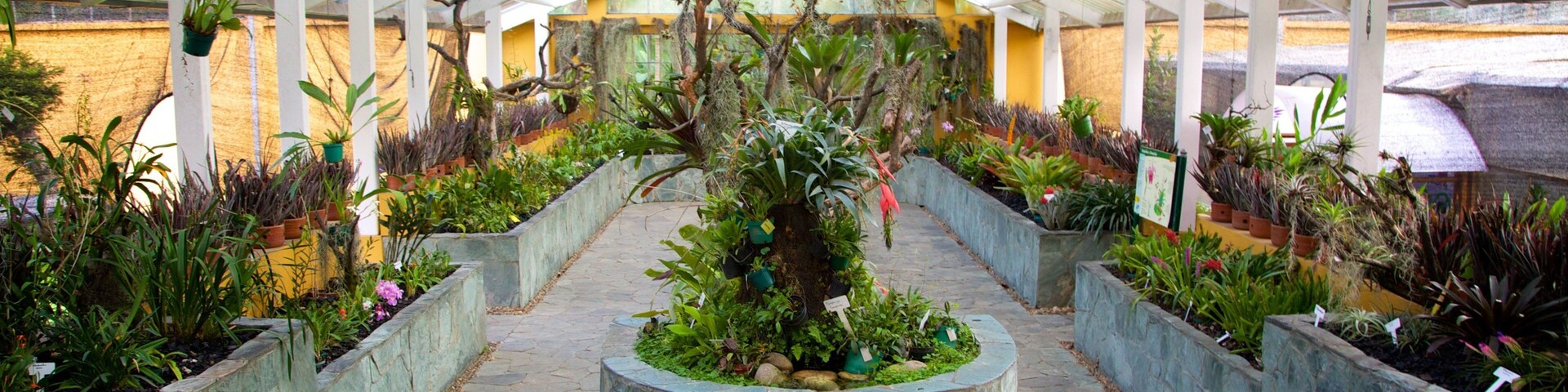 Bogota Botanical Garden showing a garden and interior views