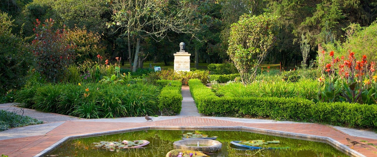 Bogota Botanical Garden showing a garden, a fountain and a pond