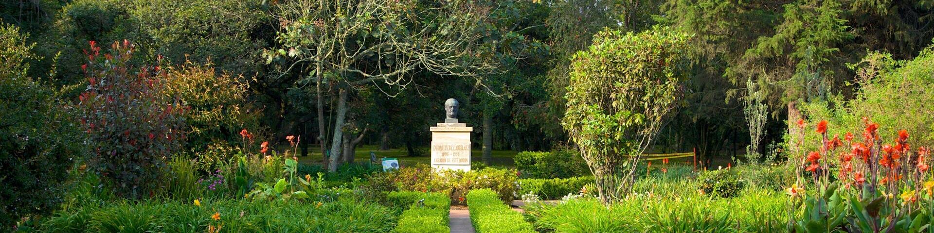 Bogota Botanical Garden showing a park, a fountain and a pond