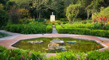 Bogota Botanical Garden featuring a fountain, a park and a pond