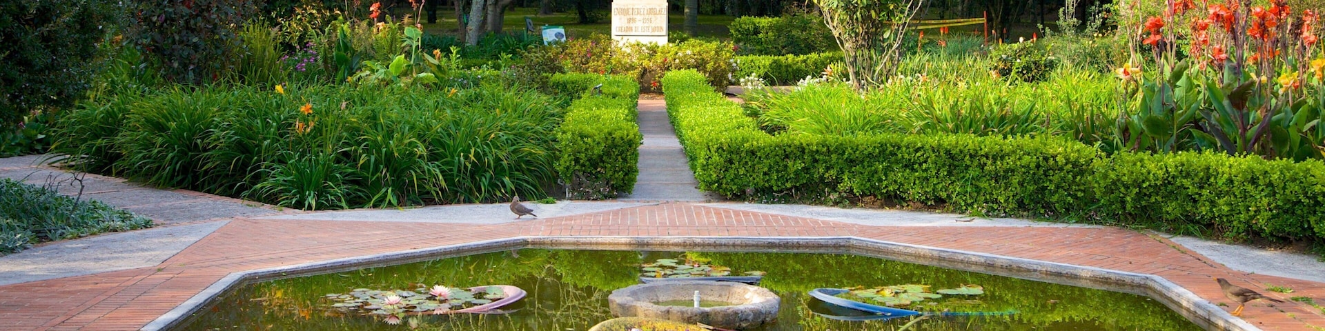 Bogota Botanical Garden showing a park, a fountain and a pond