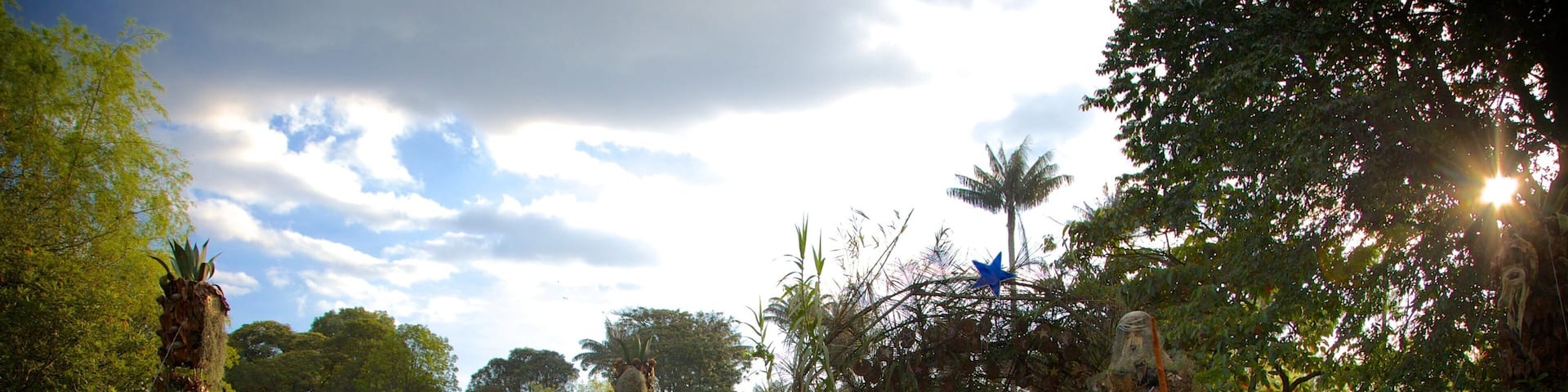 Bogota Botanical Garden showing a garden