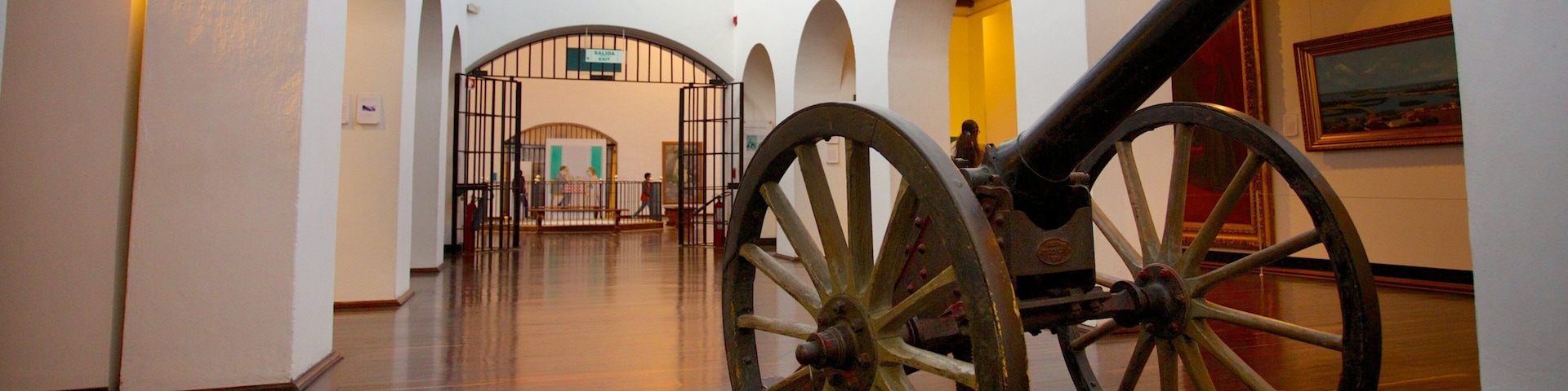 Museu Nacional mostrando vistas internas e itens militares