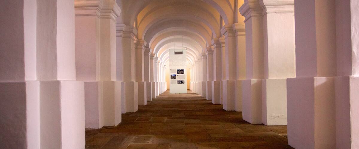 Museo Nacional que incluye vistas interiores