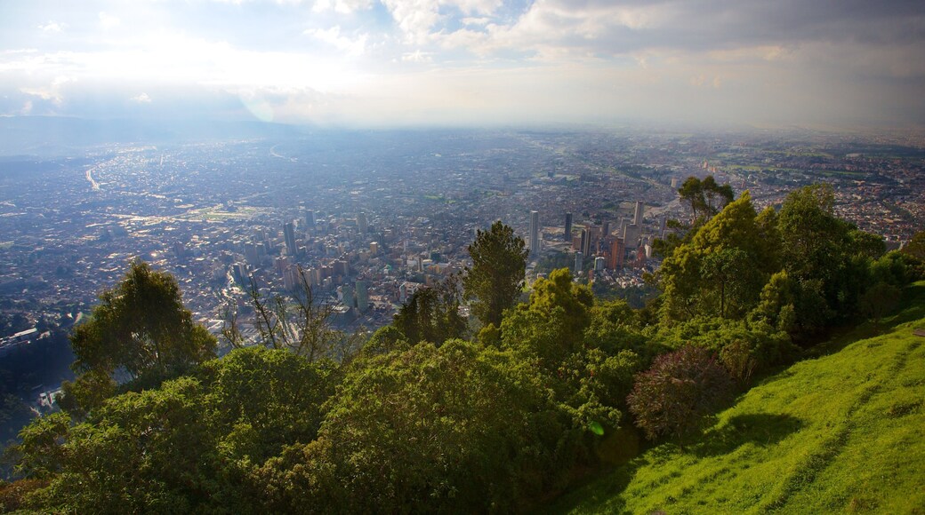 Monserrate showing a city and landscape views
