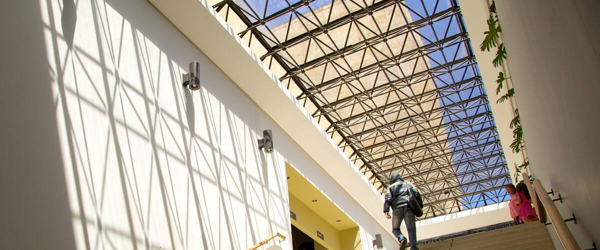 Luis Angel Arango Library showing an administrative building and interior views as well as an individual male